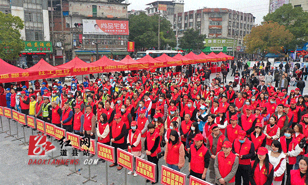 道县2022年"3·5学雷锋志愿服务月"主题实践活动启动_文明_县委宣传部