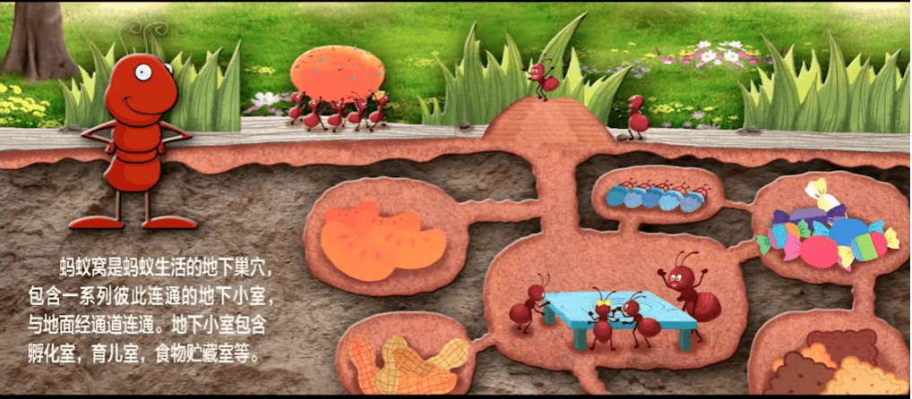 小蚂蚁撬动碳循环
