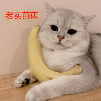 深圳防疫电子哨兵来了还能识别过期健康码截图