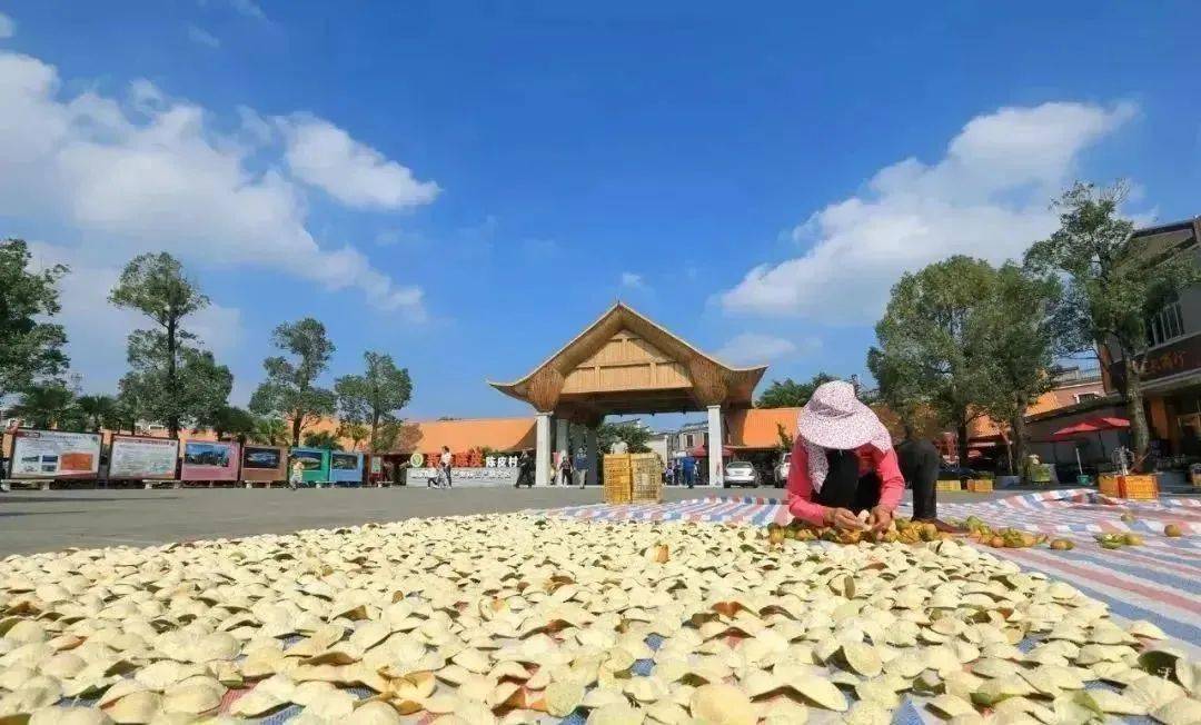 脾胃|一次性把陈皮的知识讲清楚（建议收藏）.