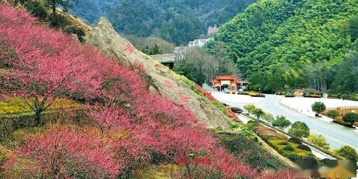 据景区气象部门介绍,预计今天傍晚到夜里,黄山风景区将有雨夹雪或小雪