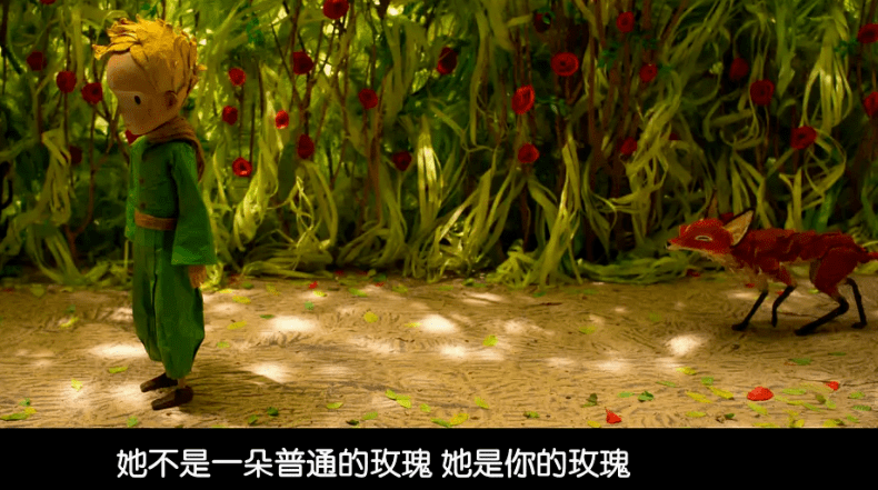 《小王子》⑦ | 什么是爱?这是我听过最好的答案_狐狸_玫瑰园_玫瑰花