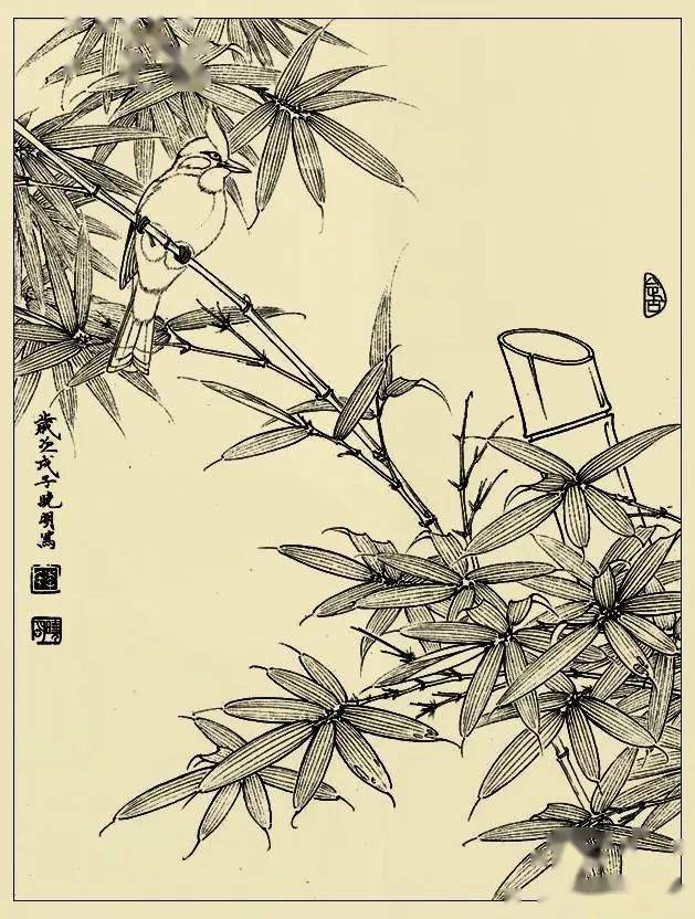 李晓明很漂亮的工笔花鸟画白描稿值得一看