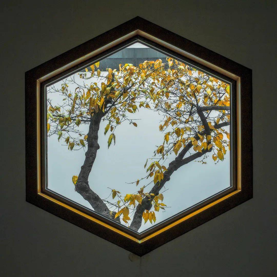 国风摄影借景光影意境解读中式窗里的春夏秋冬