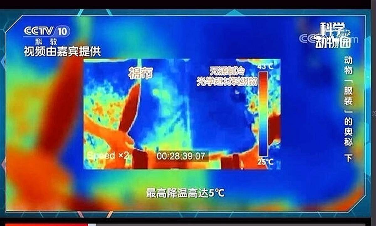 那些值得一看的不朽电影佳作