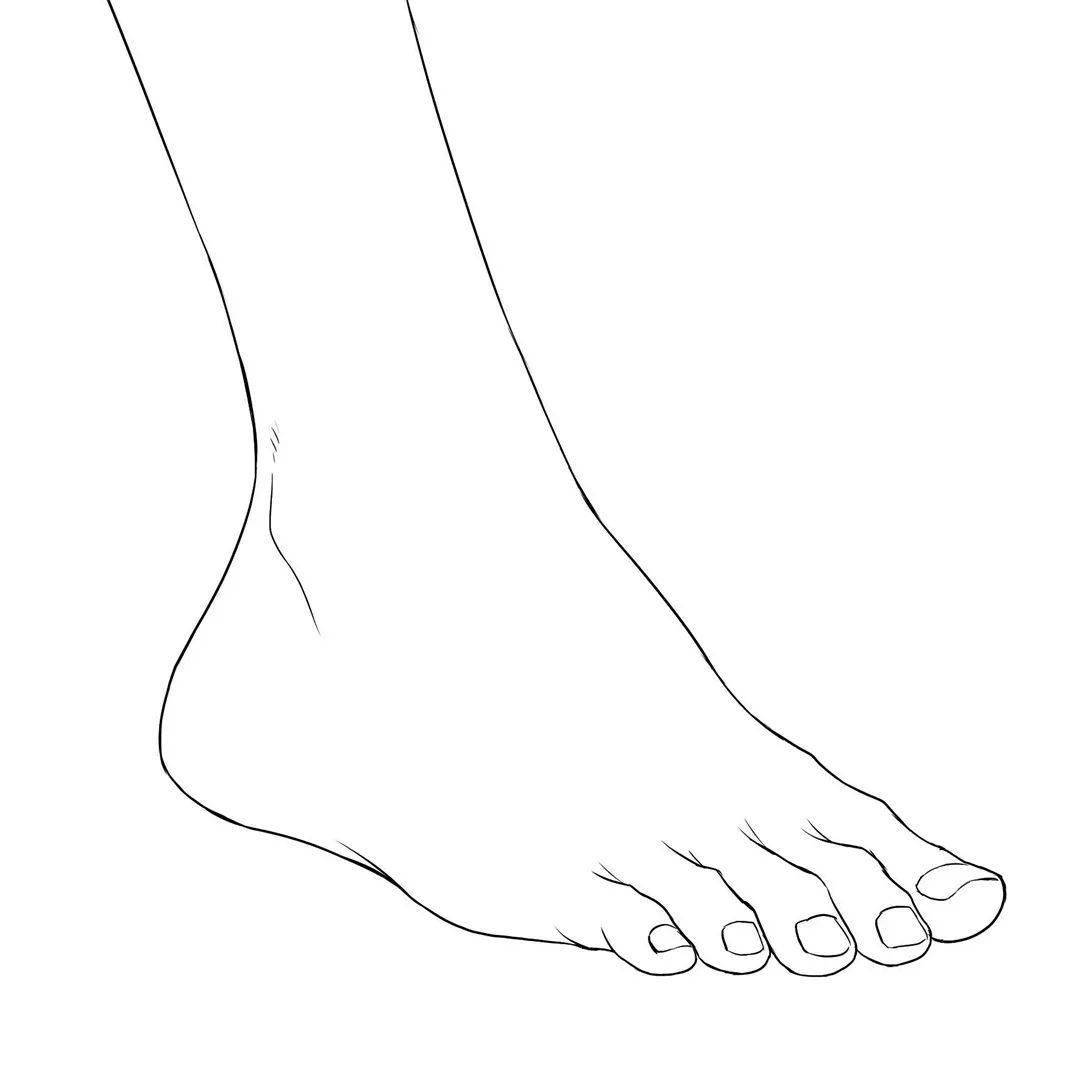 画集收录手脚腿线稿