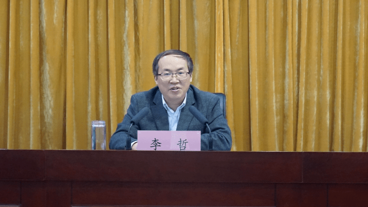 示范区党工委副书记,政法委书记,市委副书记李哲代表示范区党工委