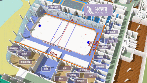 冰球场平面图彩色图片