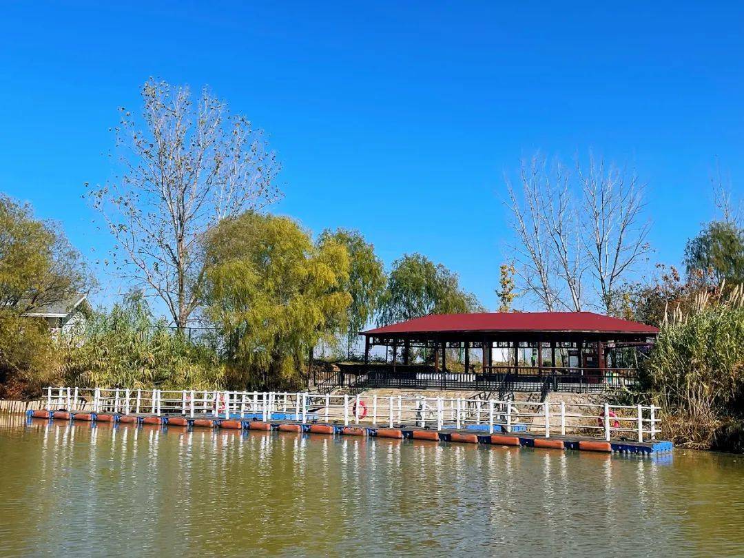 焦岗湖生态旅游度假区图片