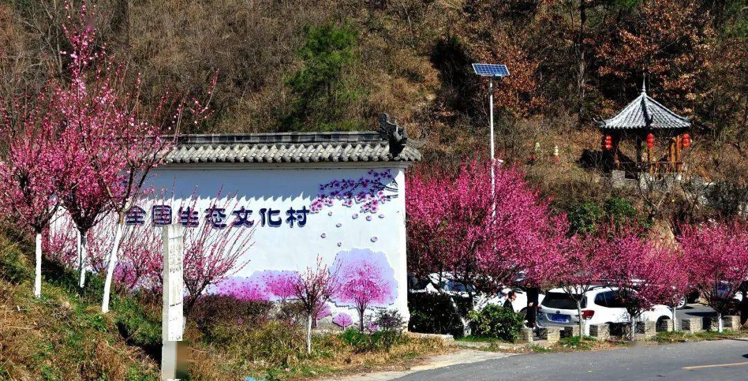 谷城赏花攻略出炉!赶紧收藏!_樱花_梁正权_王金文