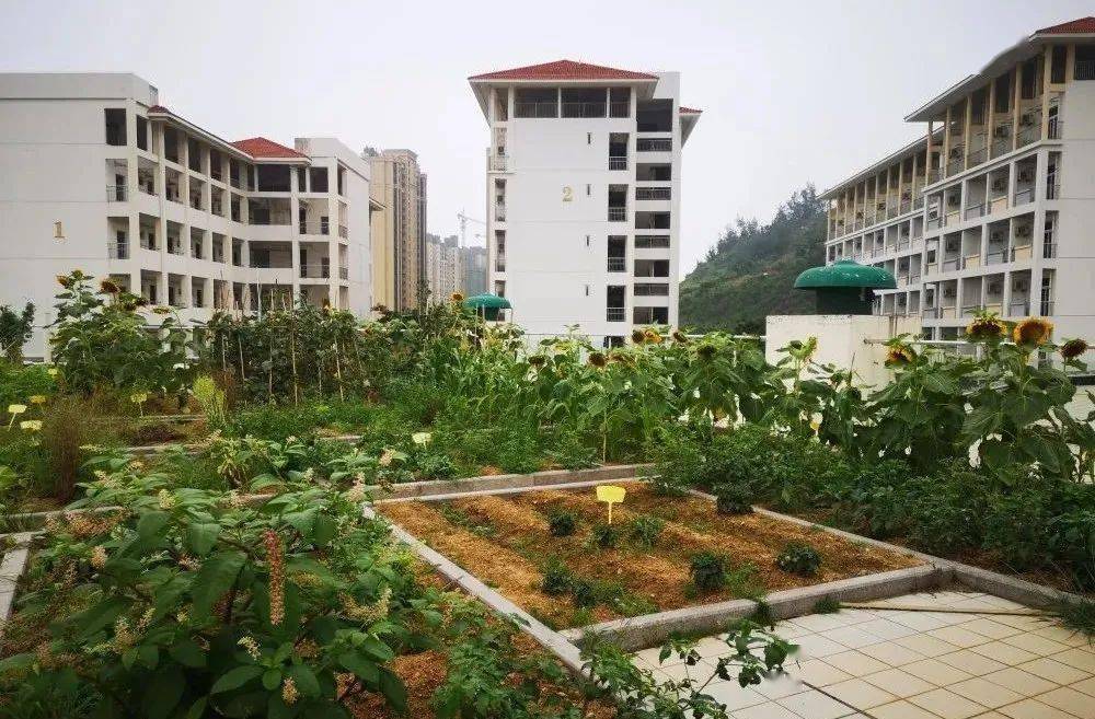 揭秘漳州港厦大附中为什么能跻身首批省级示范高中