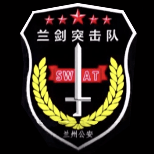 全国特警臂章大全