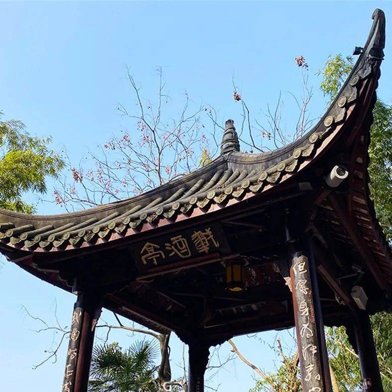 乐言乐语丨真作凌云载酒游,汉嘉奇绝冠西州_大佛_乌尤_春光