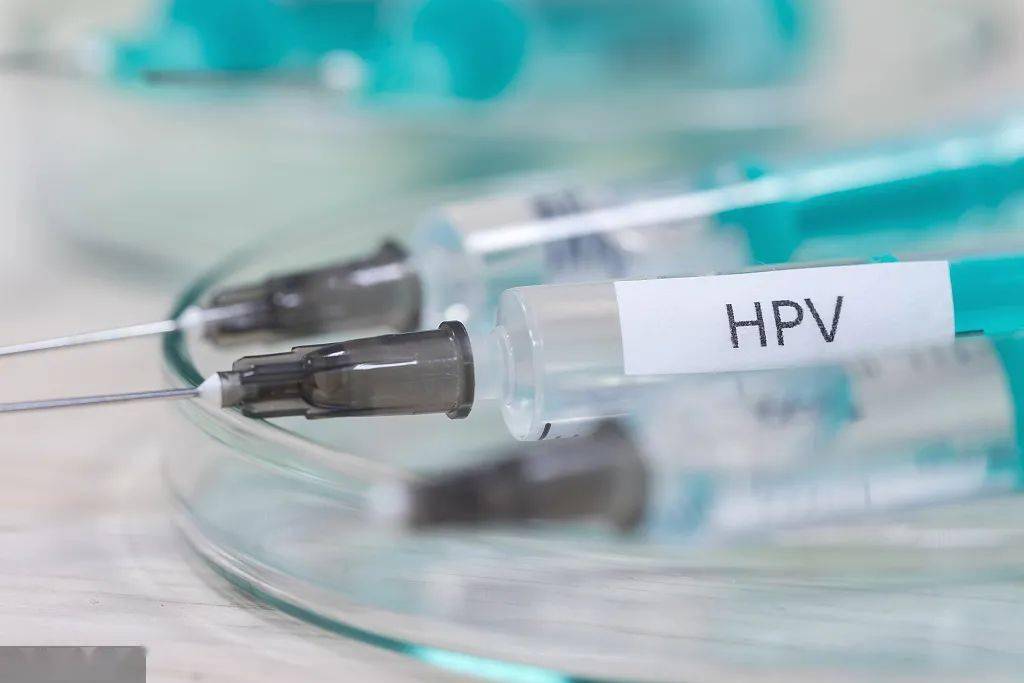 接种|尽早尽小！多地HPV疫苗免费接种