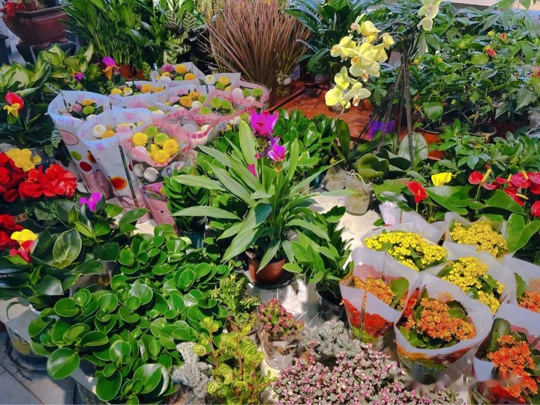 探秘平凉微型春天收藏馆平凉人对春天的期待都藏在这里