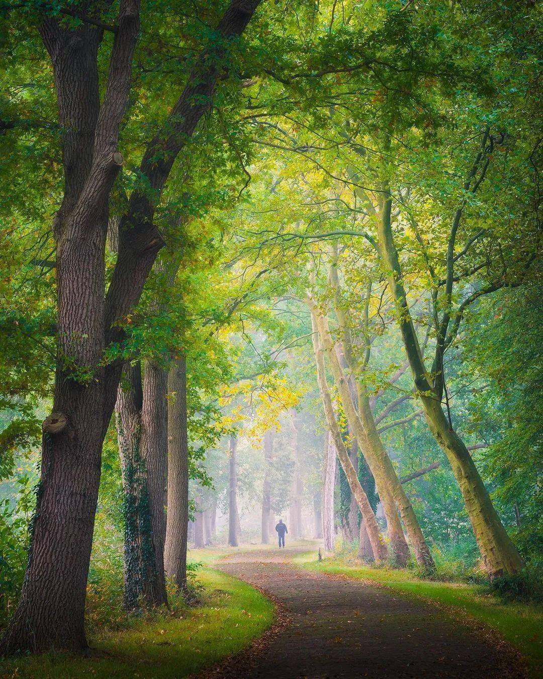 终究有一天,你要学会释怀,学会成长,学会独自看风景,学会放下顾虑与