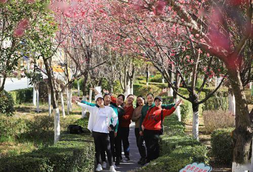 景中|茂县：梅花绽放成风景 暗香浮动惹人醉