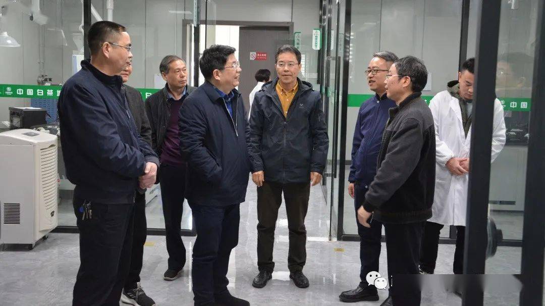 福建省市场监管局领导到政和调研指导工作