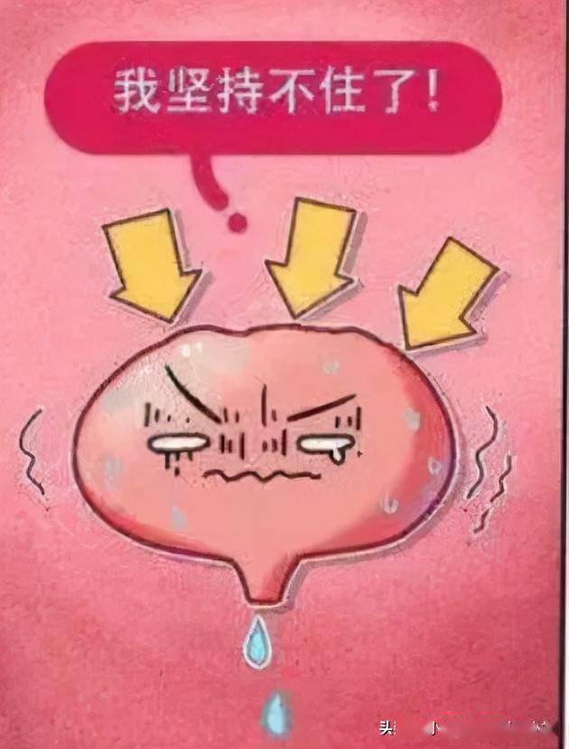 中老年女性出现漏尿怎么办科学使用4类药物改善盆底肌群功能