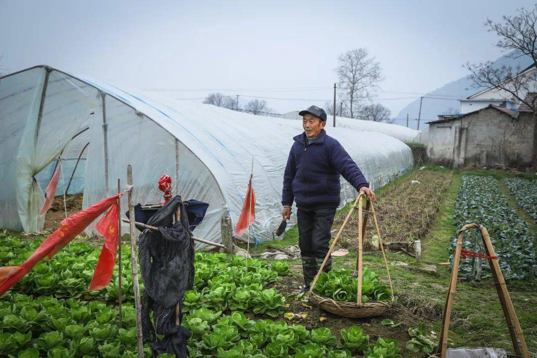 采编一辈子跟土地打交道说的就是农民面朝黄土背朝天图文:壮壮地点