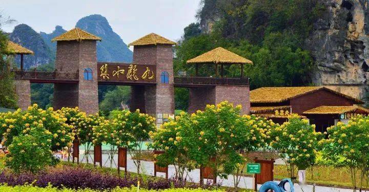 周六成行春游英德2日小三峡游船百亩黄花风铃浈阳坊小镇万亩茶园小