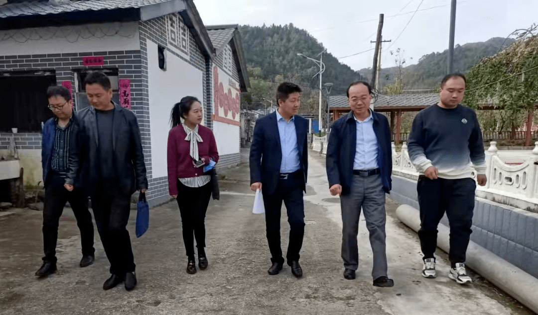 丹凤县化庙村推动秦岭山水乡村建设迈开整体乡村振兴步伐