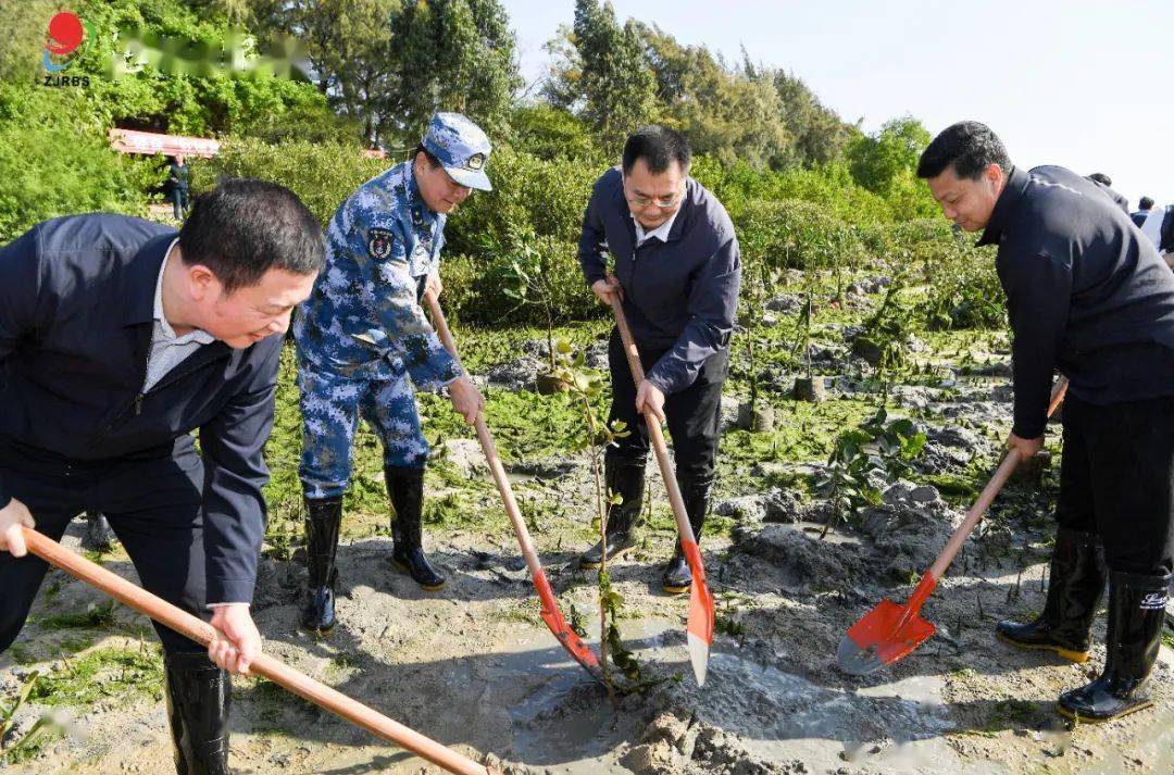 湛江党政军民参加全民义务植树活动