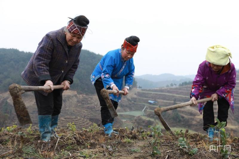 沃土|贵州剑河：“山呼海应”启新程 千亩沃土绘新景