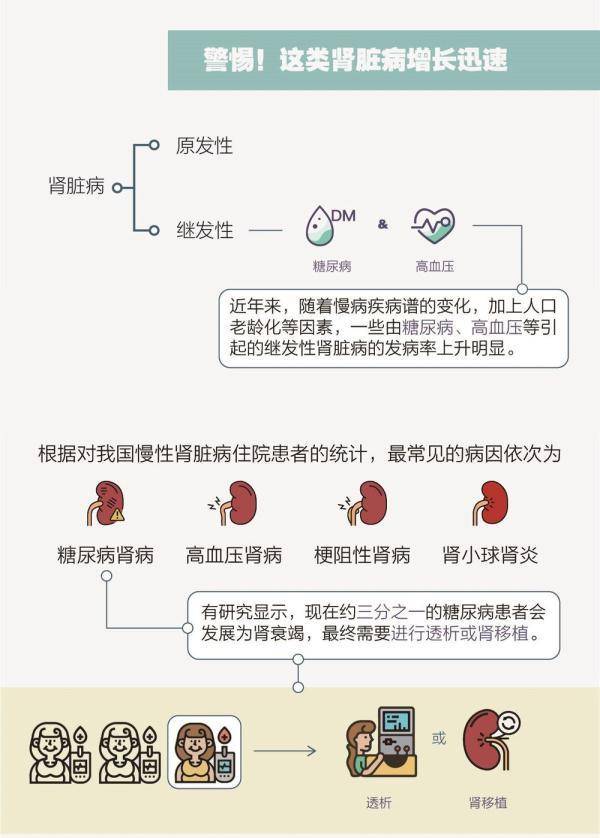 相关|这个“杀手”有点“冷” 得把肾脏当回“事”了