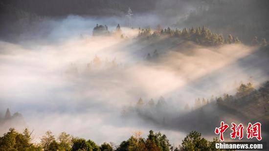 阳光|江西遂川 光照山林景色美