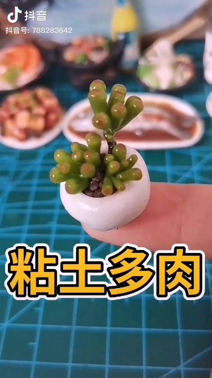 粘土多肉手工粘土