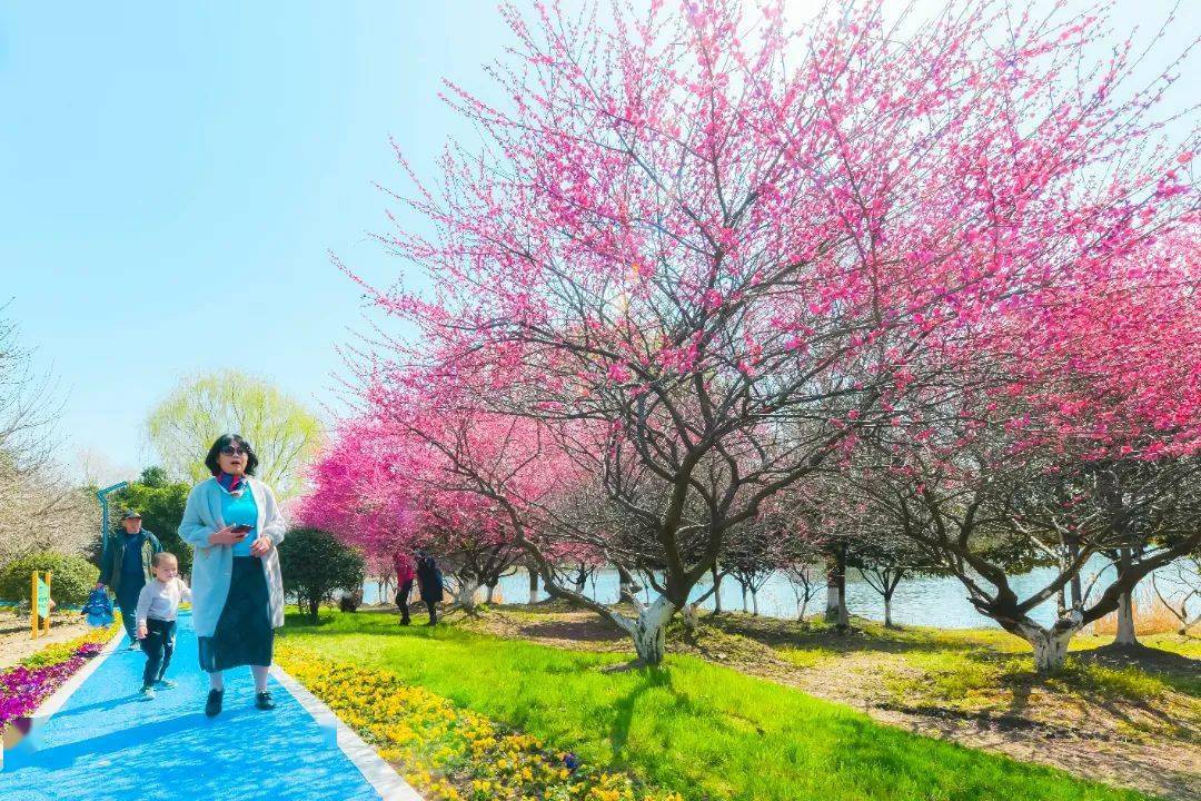 我想開了!_黃橋_梅花園_相城