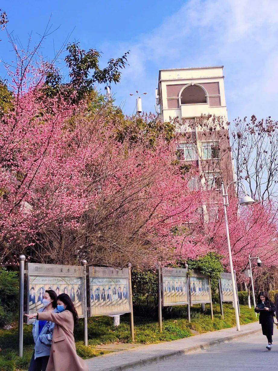 學院吉利學院成都東軟學院四川民族學院攀枝花學院成都體育學院四川