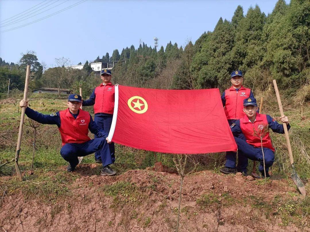 植樹正當時涪陵區各級團組織開展植樹節志願服務活動