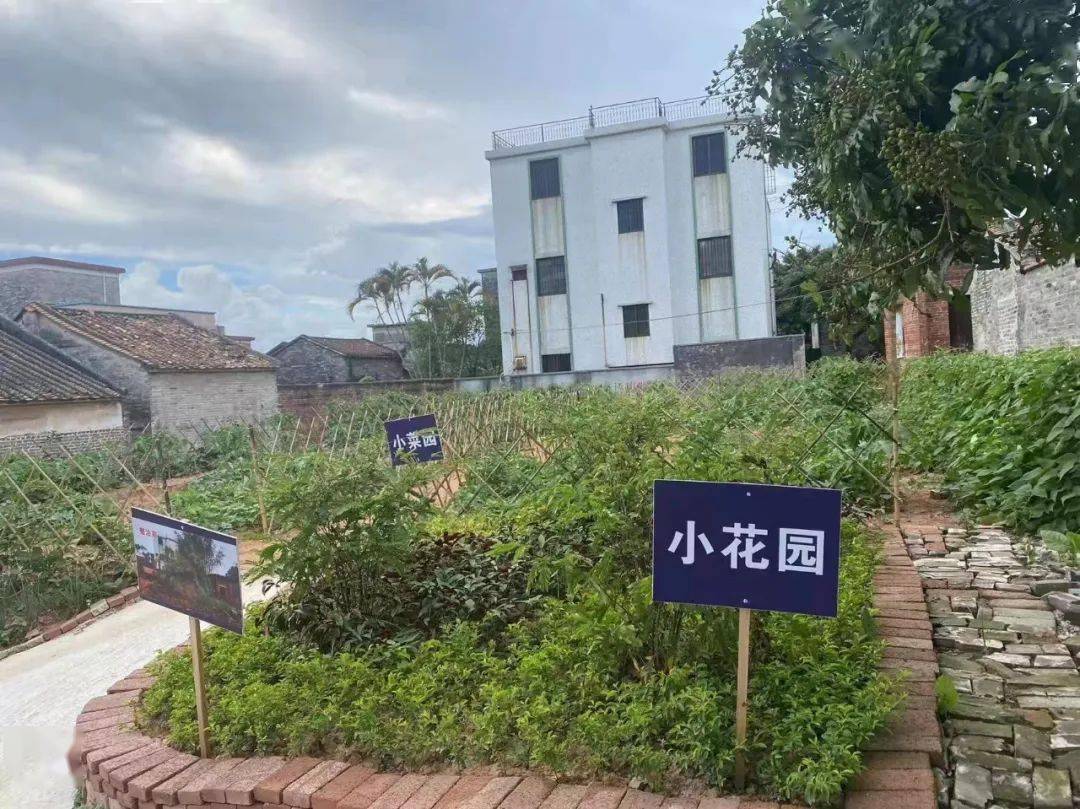 【乡村振兴】串联"红资源",整合"点投入",凝聚"大民心"——陈山村促进