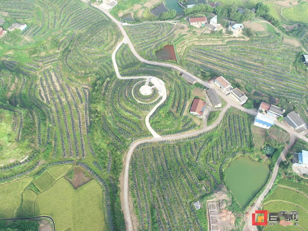 从落后村到乡村振兴示范村的蜕变走进富顺县骑龙镇大田村