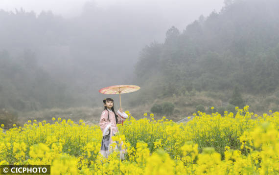 游客|金色油菜花海已上线，一起触摸春的气息！