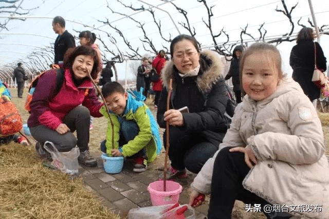 酒庄|春游推荐！烟台又一打卡地揭秘，一秒置身欧洲城堡！