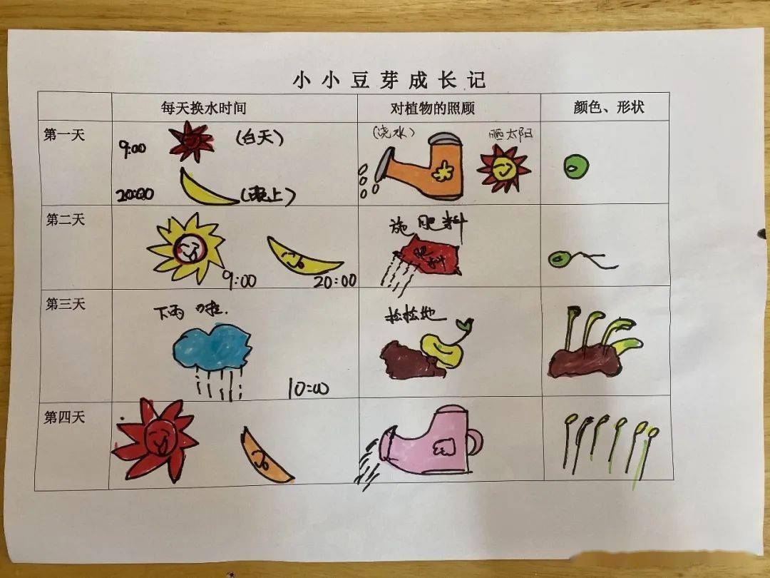 幼儿园蔬菜观察记录表图片