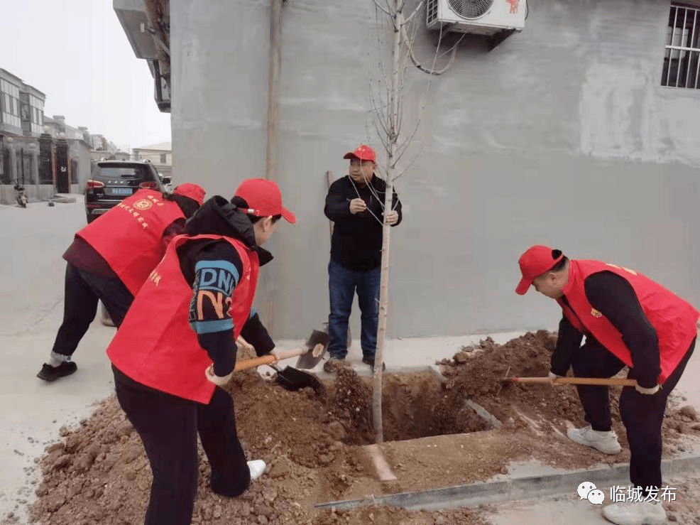 在全国第44个植树节来临之前,3月11日,临城镇北街,东台,中驾廻,东泥河