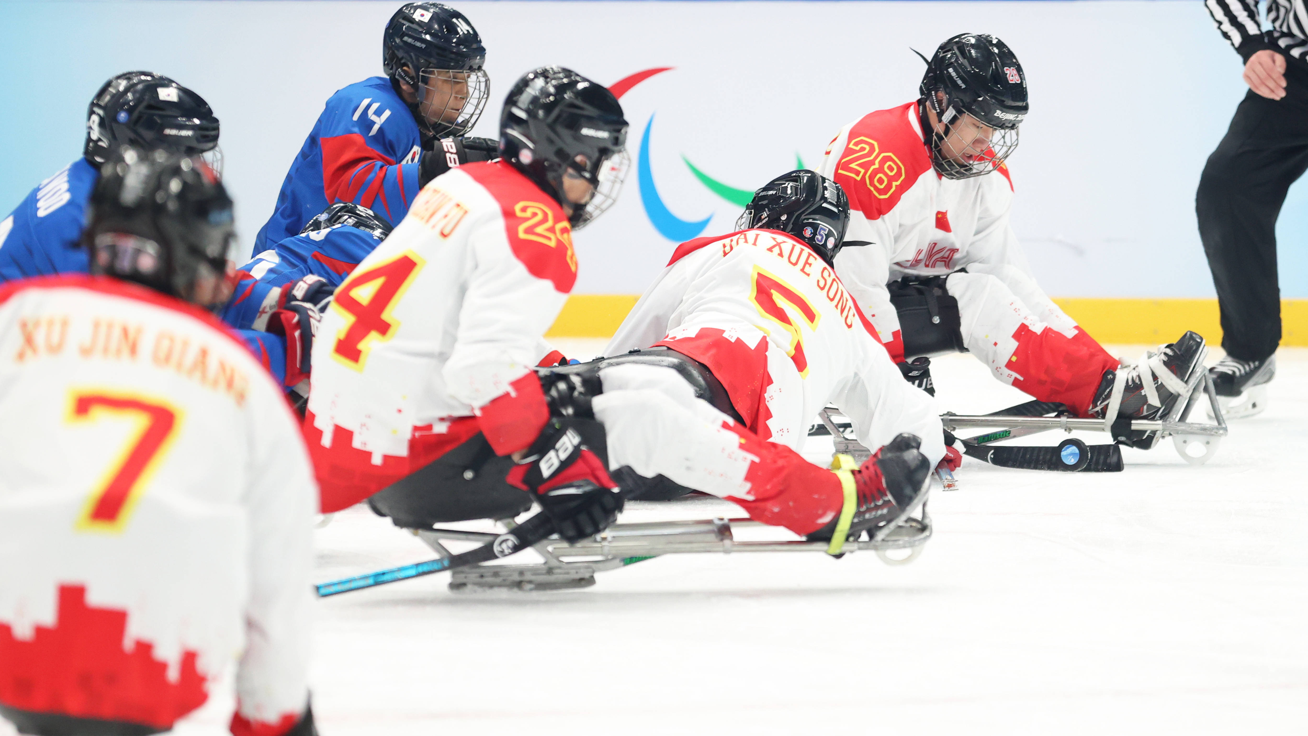 中国残奥冰球图片