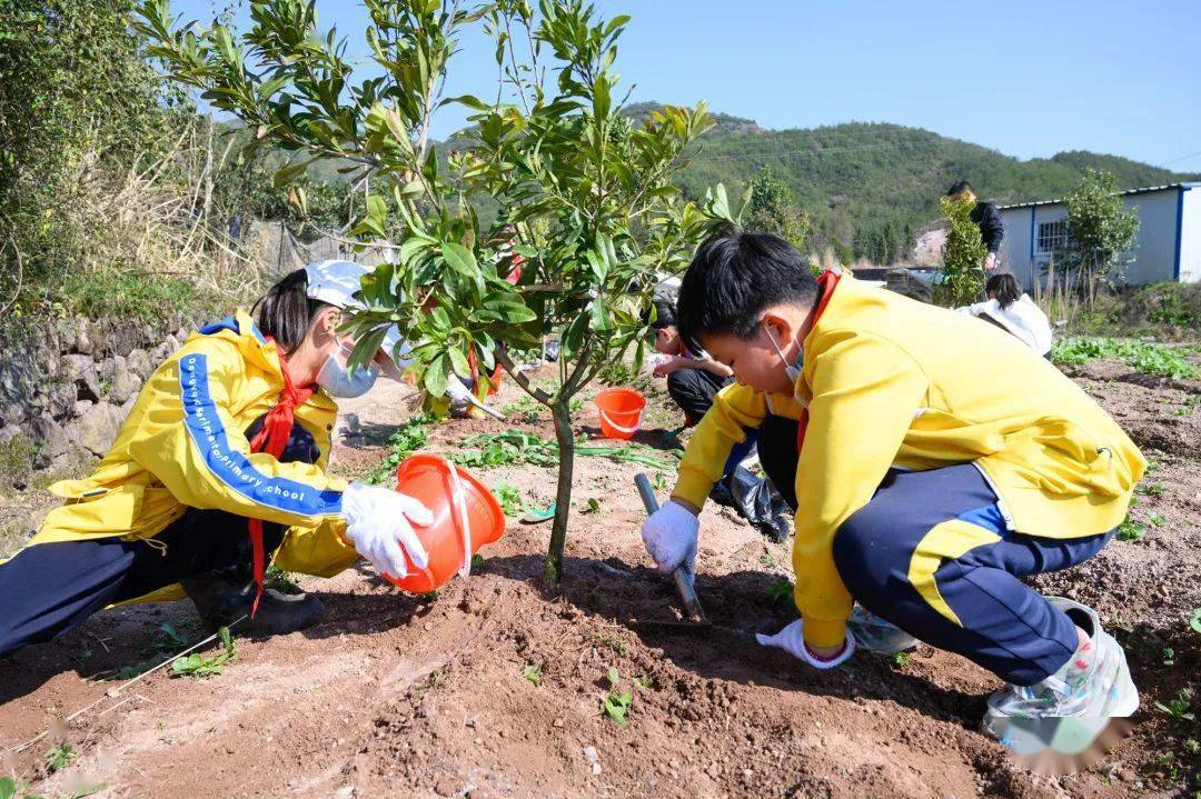 "王爷爷,我给我的小树苗起名叫壮壮""明年我要回来看看我的小树长高了