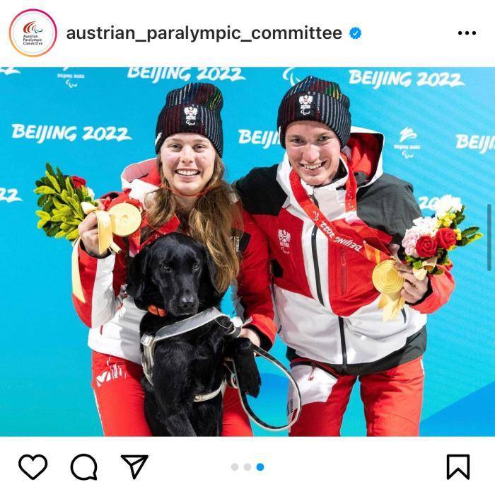 韩冰|北京冬残奥会，为何给这只导盲犬颁发“奖牌”？