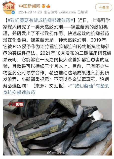 禁毒致幻蘑菇能成抗抑郁速效药评论区比毒蘑菇还危险