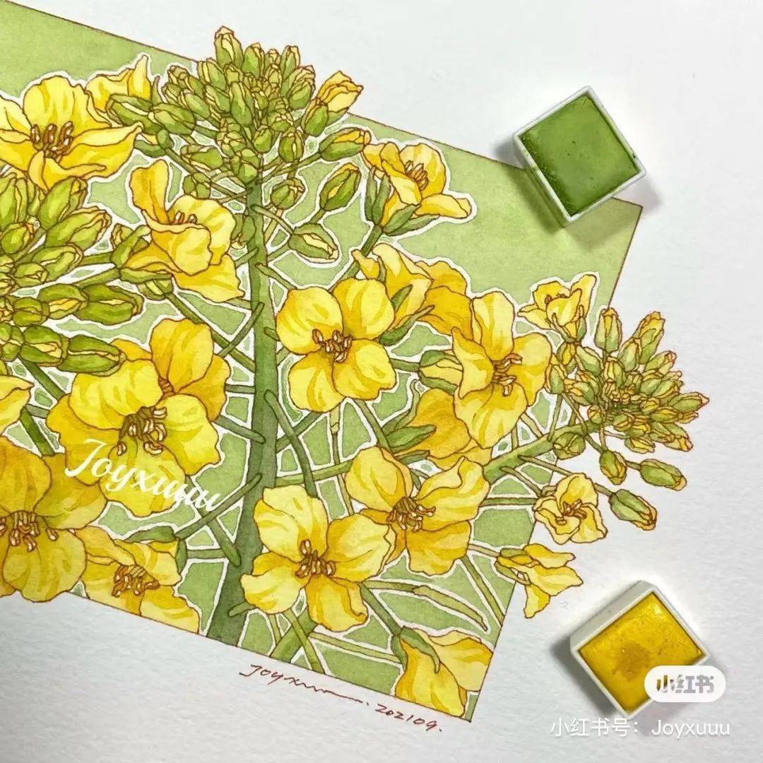 58张彩色线描装饰画冷暖搭配疏密有度色彩大饱眼福超赞