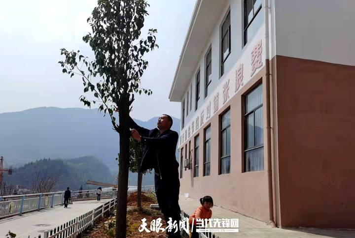 野马川花卉苗木种植基地捐赠了雪松,赫章县华兴学校捐赠了紫薇,红豆杉