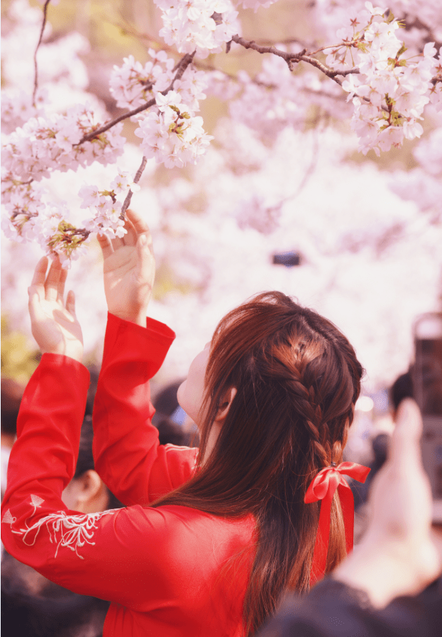花朝节 一年中最美的节日 却被世人遗忘 赏红 花神 踏青