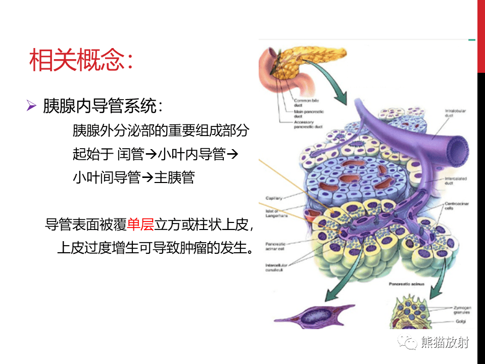 讲座丨胰腺导管内肿瘤的影像诊断孙丛教授