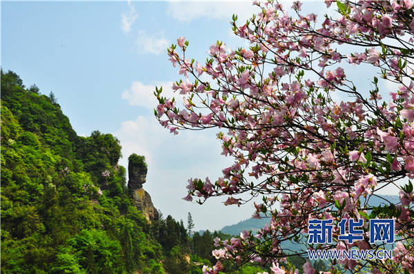 桥头|重庆石柱发布九项春季旅游活动