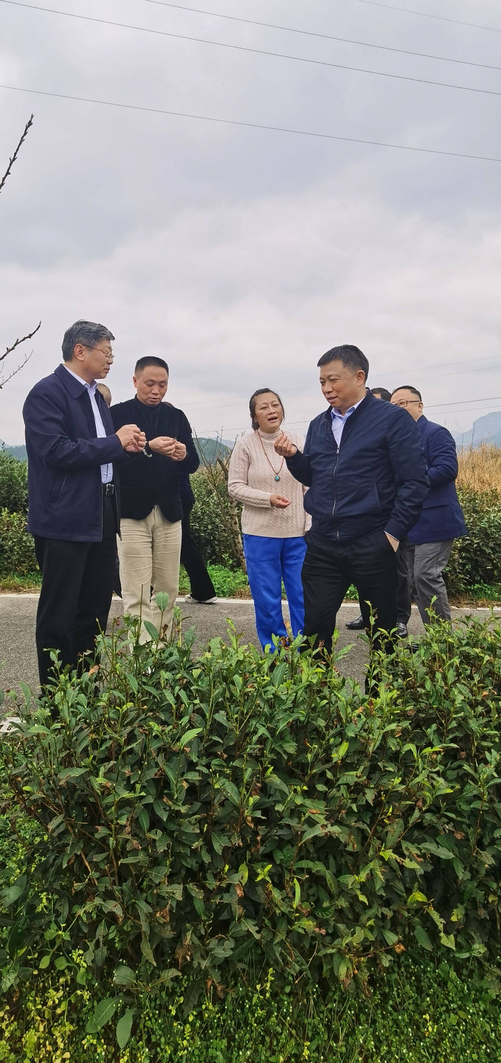 山西证监局深化上市公司走访工作 以一线监管赋能高质量发展